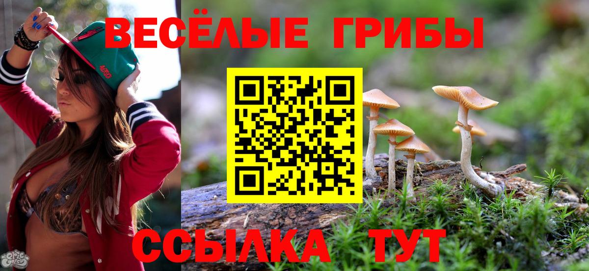 купить наркоту  Галлюциногенные грибы мухоморы  Вход с VPN  Алатырь 